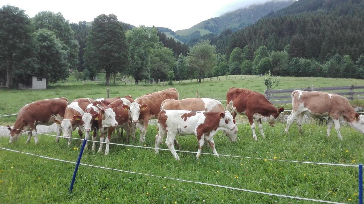 Schiessling Hof Villa Oberndorf in Tirol Bagian luar foto