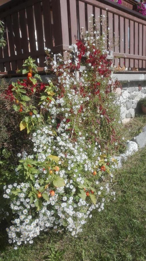 Schiessling Hof Villa Oberndorf in Tirol Bagian luar foto