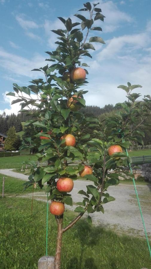 Schiessling Hof Villa Oberndorf in Tirol Bagian luar foto
