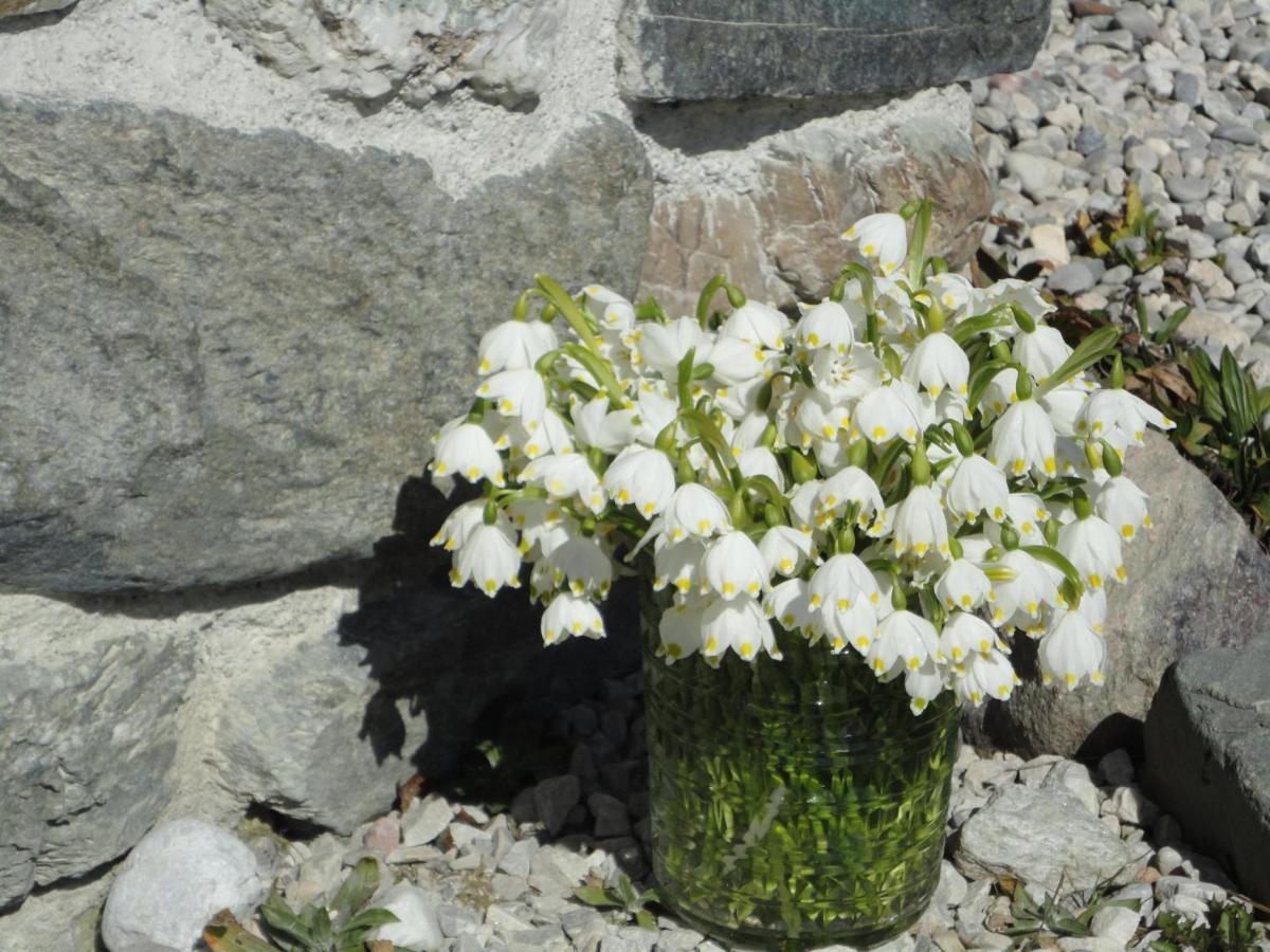 Schiessling Hof Villa Oberndorf in Tirol Bagian luar foto